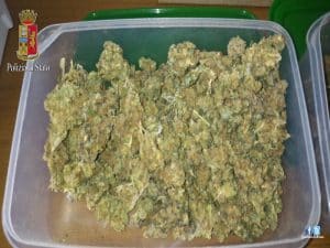 20170403-monteverde-marijuana-1