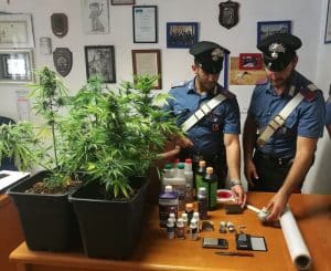 2017_06_27-civitavecchia-la-droga-sequestrata-dai-carabinieri