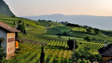 Monferrato casalese