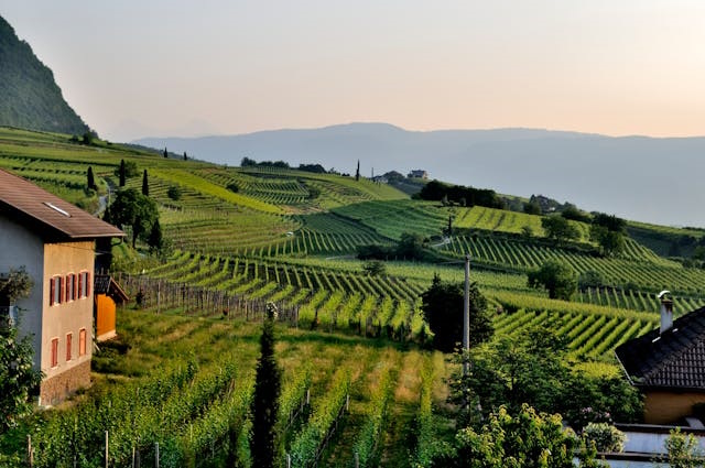 Monferrato casalese