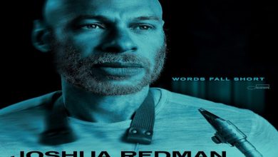 Joshua Redman Words Fall Short