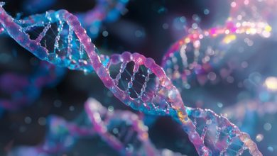 DNA