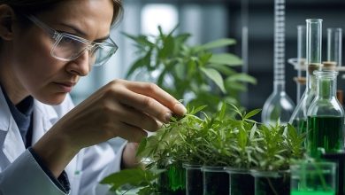 TEA Tecniche di Evoluzione Assistita