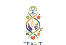 Logo TEA4IT
