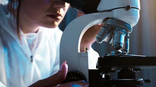 tessuti microscopio