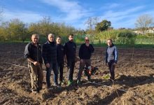 Giornata nazionale degli alberi CREA