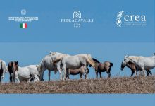 Il CREA a Fieracavalli