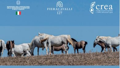 Il CREA a Fieracavalli