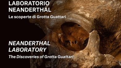 MUCIV-Museo delle Civiltà: Laboratorio Neanderthal