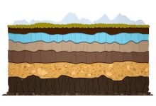 Giornata Mondiale del Suolo CREA 2025