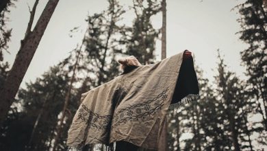 Terapia forestale assistita