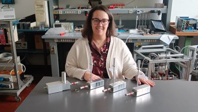 Anna Bianchi INFN Standout Woman Award