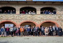 crea anarsia sistema akis