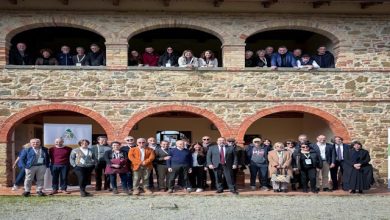 crea anarsia sistema akis