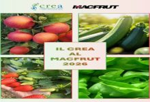 Il CREA a Macfrut 2026