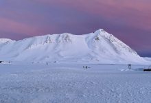 Svalbard neve artica