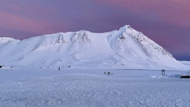 Svalbard neve artica