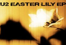 U2 - Easter Lily