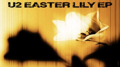 U2 - Easter Lily