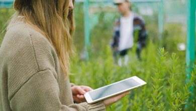 CREAfuturo tecnologia in agricoltura
