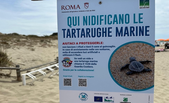 Giornata mondiale delle tartarughe marine Ostia