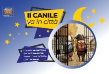 Il canile va in città 2026
