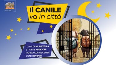 Il canile va in città 2026