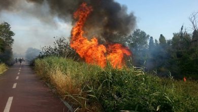 Prevenzione incendi e ondate di calore