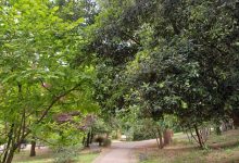 Villa Leopardi Cammina Roma 2026