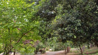 Villa Leopardi Cammina Roma 2026