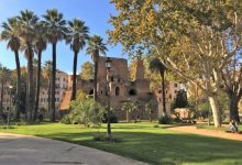 palme storiche piazza vittorio roma