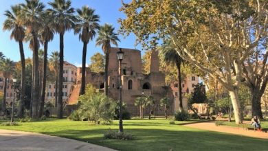 palme storiche piazza vittorio roma