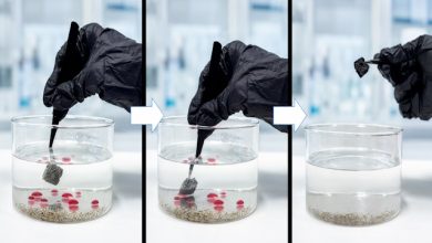 scarti di sughero per depurare l’acqua