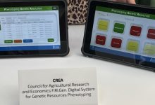 CREA Conferenza Globale FAO