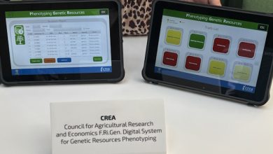 CREA Conferenza Globale FAO