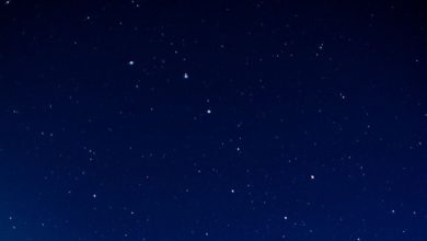 La Terrazza delle Stelle