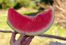guida alimentare estate