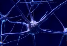 neuroni