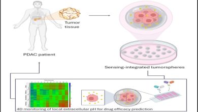 studio processo tumore del pancreas