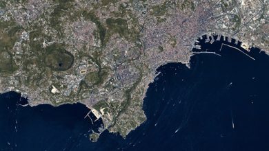 Eaglet II Napoli