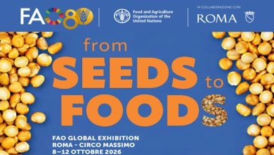 From Seeds to Foods CREA