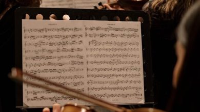 Musei in Musica